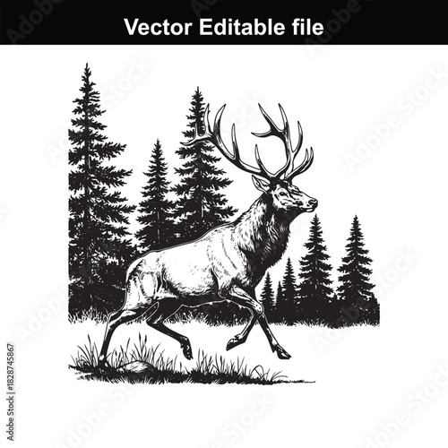 Majestic stag with large antlers walking through a pine forest, vector graphic illustration