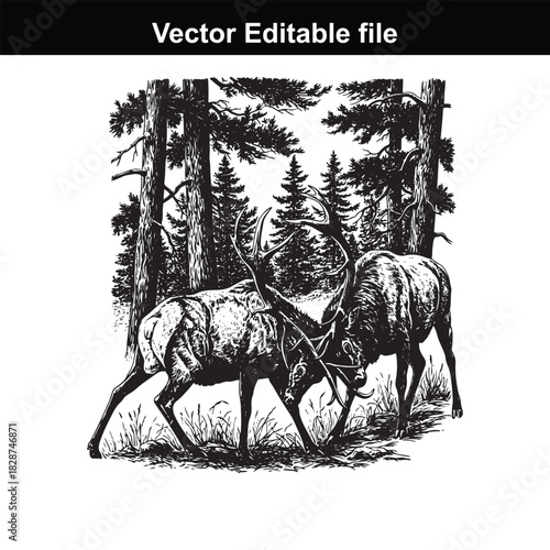 Two majestic elk with large antlers locked in combat amidst a dense pine forest, rendered in a detailed black and white woodcut style