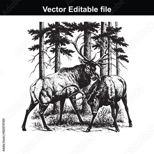 Two majestic elk, one large with impressive antlers and a smaller one, locked in a rutting duel amidst a dense forest of pine trees, rendered in a detailed black and white illustration style