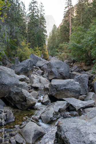 El Capitan View from the Merced River
