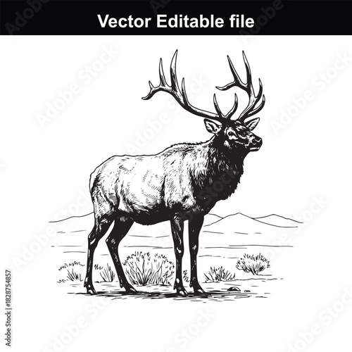Majestic bull elk with large antlers standing in a natural landscape with sparse vegetation and distant hills, black and white illustration