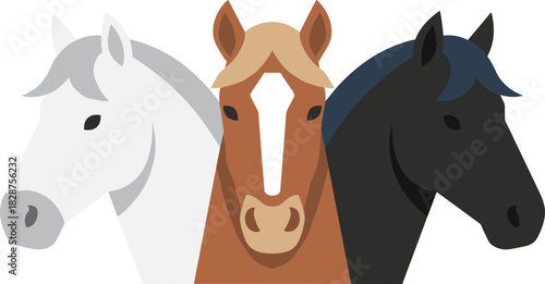 Simple Flat Colorful Three Horse Heads Illustration for Animal Theme