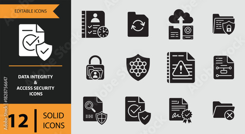 Data integrity and access security solid icon set isolated on white background