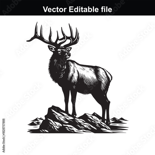 Majestic bull elk standing proudly on a rocky outcrop, a powerful symbol of wilderness and natures grandeur, rendered in a striking black and white vector illustration