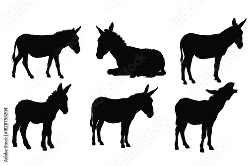 Donkey Silhouettes Vector Set