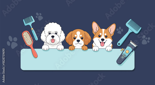 Cute cartoon dogs, a Bichon, a Cavalier, and a Corgi, happily peer over a banner, surrounded by essential pet grooming tools and paw prints.