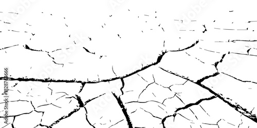 High-contrast cracked earth texture in black and white, showing deep fractures and dried soil patterns. Perfect for backgrounds, drought concepts, environmental designs, and abstract graphic use.