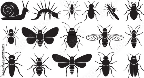 Collection of Black Silhouettes Depicting Various Insects and Arthropods Species