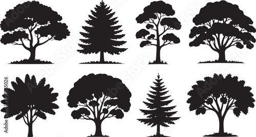Collection of diverse tree silhouettes isolated on white background nature design