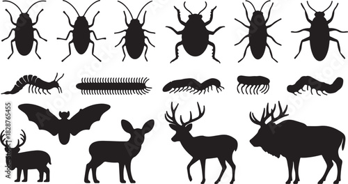 Diverse animal silhouette collection showcasing various species from insects to mammals