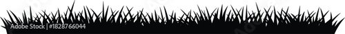 Black Grass Silhouette Border Element Isolated on White Background for Design Lawn Decoration Template Nature Plants Meadow Field Weed Turf Graphic Minimalistic Vector
