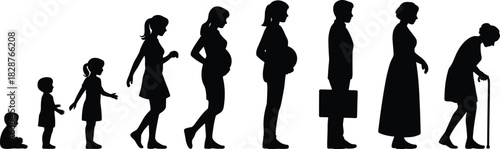 Life Stages of a Woman Silhouette, From Baby to Senior with Cane, Human Development, Pregnancy, and Aging Vector