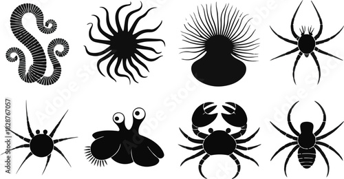 Silhouetted Marine Life Vector Illustrations Various Sea Creatures Graphic Set