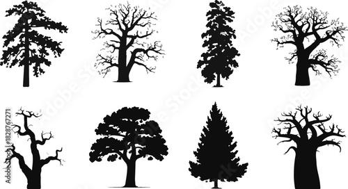 Silhouettes of Diverse Tree Species in Black and White Contrast