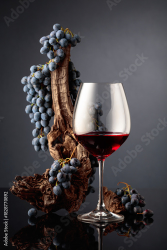 Glass of red wine with a weathered snag and blue grapes.