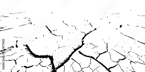 High-contrast black and white cracked earth texture with deep fissures and dried soil patterns. Ideal for environmental themes, drought concepts, abstract backgrounds, and graphic design elements.