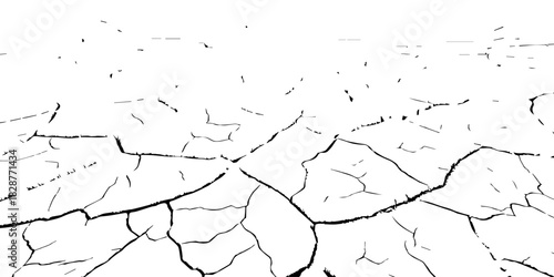 High-contrast black and white cracked earth texture with deep fissures and dried soil patterns. Ideal for environmental themes, drought concepts, abstract backgrounds, and graphic design elements.