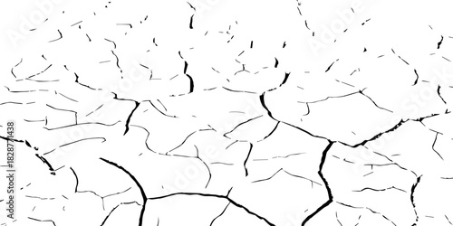 High-contrast black and white cracked earth texture with deep fissures and dried soil patterns. Ideal for environmental themes, drought concepts, abstract backgrounds, and graphic design elements.