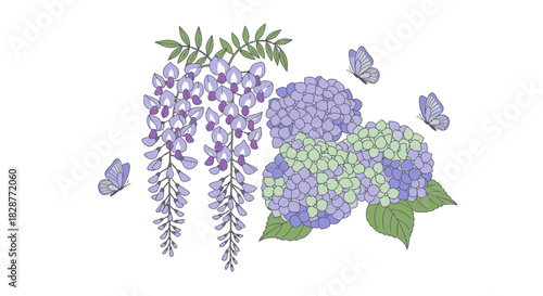 Romantic wisteria and hydrangea blooms with fluttering butterflies, perfect for elegant spring designs and whimsical branding, originally created as a vector graphic