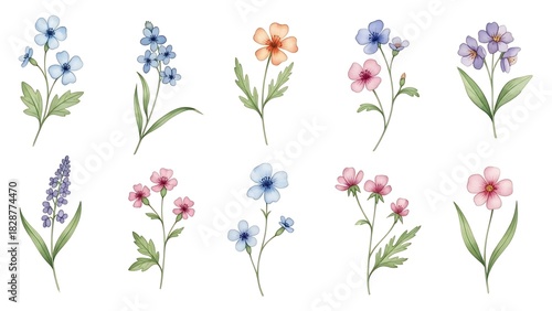 Wallpaper Mural Set of delicate watercolor floral elements, featuring serene garden blooms and botanical illustrations in soft, gentle pastel hues Torontodigital.ca