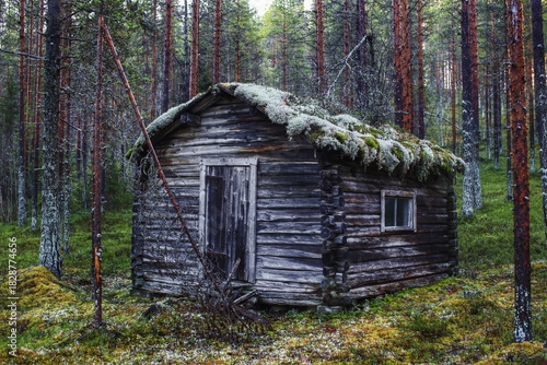 Moss-covered wooden cabin in Sweden surrounded by pine trees and forest floor vegetation in shade
