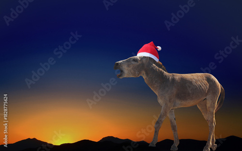 Donkey wearing a Santa hat and braying against sunset sky over mountains, funny christmas template, photo collage