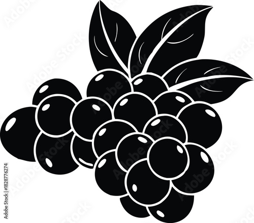 Concord Grape Bunch Illustration in Black Silhouette Vector Art Isolated on Transparent Background Depicting Fruit Harvest