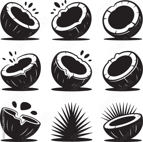 Black and white coconut fruit vector icon illustration design set