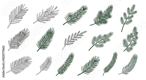 A diverse set of hand-drawn fir and pine tree branches in both outline and solid green styles for winter holiday designs.