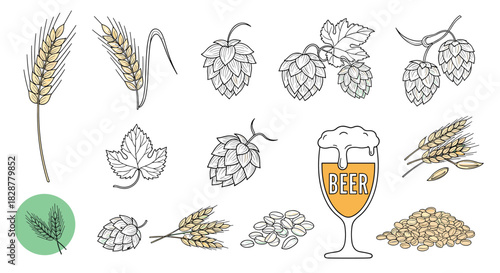 A collection of hand-drawn beer ingredients including wheat hops and barley along with a glass of beer in a sketch style.