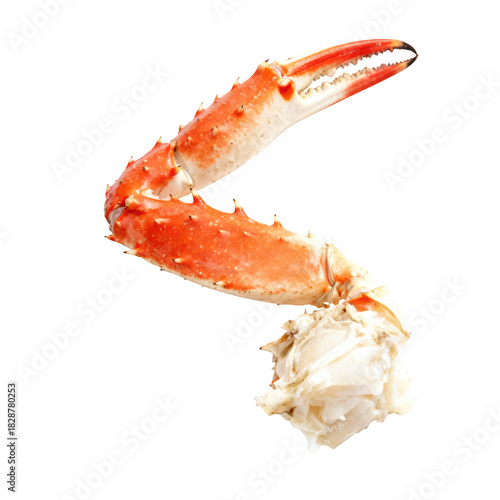 Delicious king crab leg with fresh meat. Cooked red seafood appetizer and gourmet meal for luxury dinner