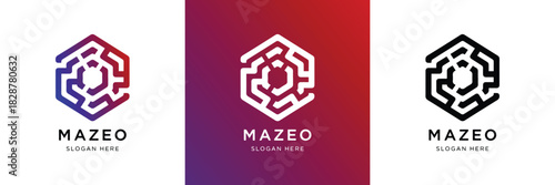 A modern hexagonal maze logo template. Symbolizes strategy, innovation, and interconnected networks for technology, data, or security brands. A sophisticated, adaptable design solution