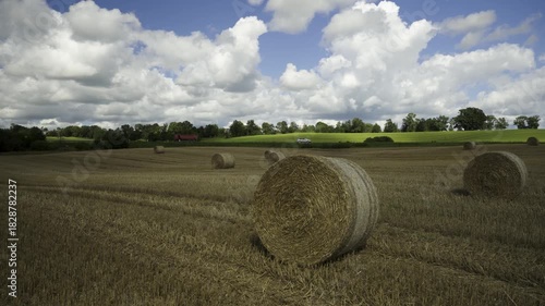 Panorama of agricultural fields on a sunny summer day. Mown grain and compressed round haystacks on the hills. Latvia