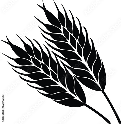 Wheat Ears Vector Illustration - Agricultural Crop Design Element for Bakery Products, Harvest Season and Grain Industry Branding