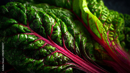 A close up of fresh swiss chard with vibrant red veins and green leaves in a detailed view