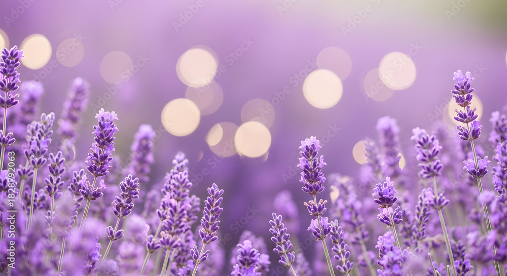 Naklejka premium roses background with balloons'pink or red cosmos flower;pink and white roses' roses bouquet'bouquet of flowers'spring flowers in the field'sunflower on a field'easter egg with flowers'red tuliponwith