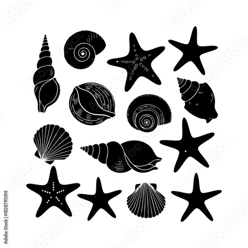 Sea shells and starfish collection vector. Different type of sea shells and starfish silhouette illustration on white background.