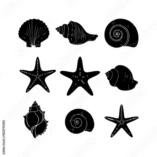 Sea shells and starfish collection vector. Different type of sea shells and starfish silhouette illustration on white background.