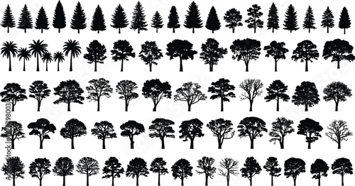 Collection of diverse tree silhouettes, pine, palm, deciduous and tropical trees, black vector forest elements, isolated nature shapes for design projects