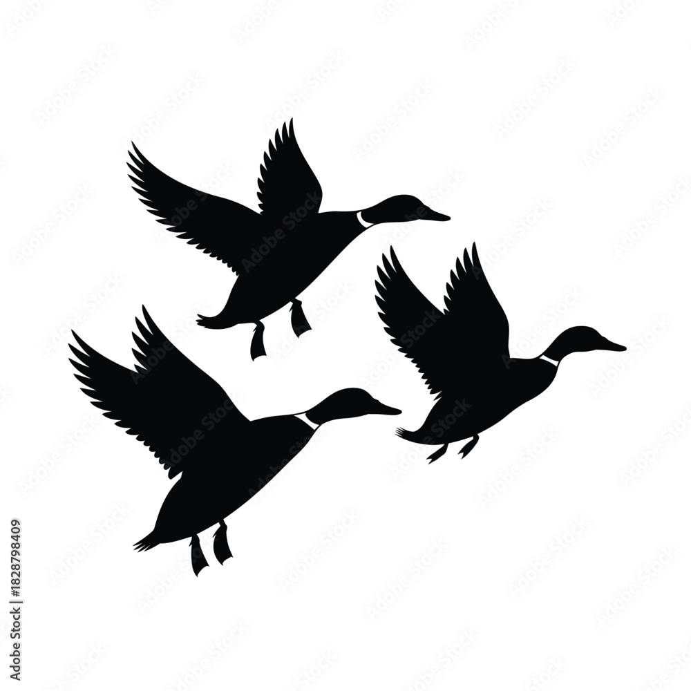 Obraz premium Silhouette of three ducks flying in formation against a white background