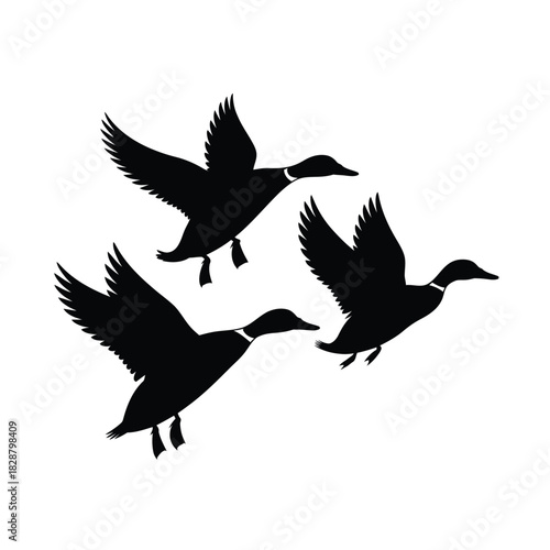Silhouette of three ducks flying in formation against a white background