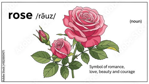 Illustrated vocabulary flashcard depicting a pink flowering plant with its phonetic spelling and symbolic meanings of love, romance, and beauty
