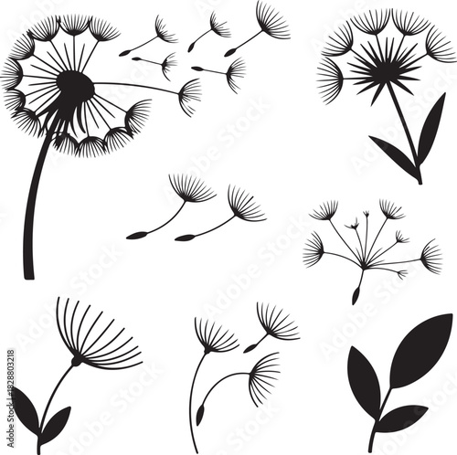 Minimalist black and white dandelion seed head vector illustration pattern