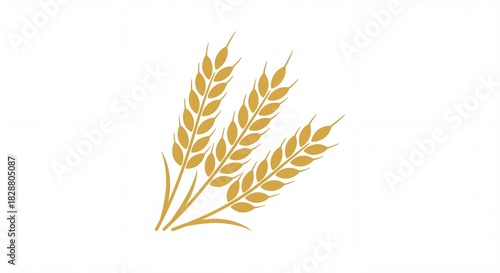 Wheat Ears on White Background