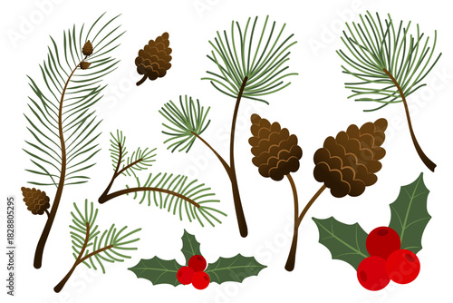 Christmas symbols set. Hand painted winter plants, fir, holly, mistletoe. Holiday floral and objects illustration for design, print, background, greeting card.