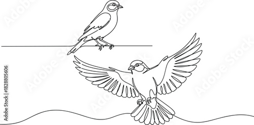 One Perched and One Flying with Outstretched Wings, Representing Freedom, Grace, and Minimalist Nature Art.