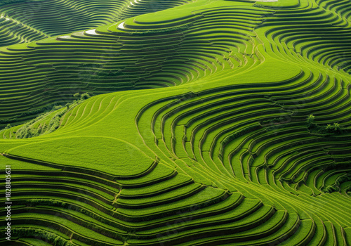 Aerial View of Terraced Rice Fields