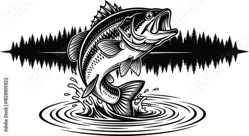 Aggressive Largemouth Bass Fish Jumping Out of Water with Splash and Ripples Against a Black Pine Forest Lake Wilderness Background Vector Illustration