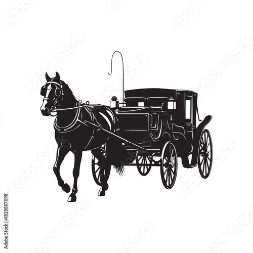 Classic vintage horse drawn carriage transport old style design