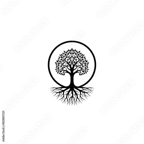 Minimal tree of life illustration with detailed roots and circular frame emphasizing growth, balance, and natural symbolism